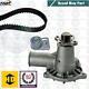 For Ford Escort Rs2000 Sierra Capri Cortina Transit Pinto Water Pump Cambelt Kit