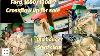 Ford 1600 1300 Crossflow Kit Car Escort Cortina Engines For Sale Keeping The V6 Just In Case