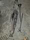Ford Cortina Mk2 Strengthened Axle Casing And Half Shafts, Lotus, Gt, 1600e Etc