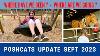Poshcats Update What And Where Vlog 588