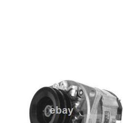 Alternateur MAHLE MG 100 MK1 POUR Kadett T2/LN1 124 Escort Passat Astra Transit S
