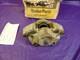 Calibre De Frein Avant Atebrake Pour Ford Capri Cortina Escort Mexico Rs Granada